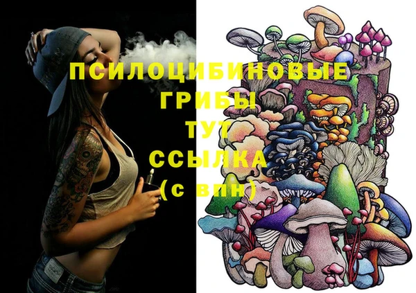 каннабис Абаза