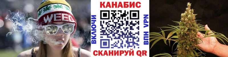 Шишки марихуана семена  Дубна 